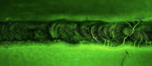 Schweissnahtprüfung-Magnetpulverprüfung – MT